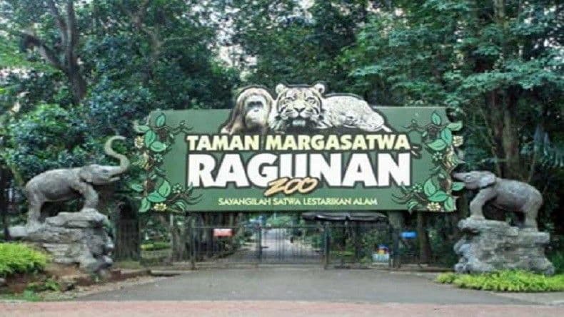 KOS MURAH BANGET DAN MEWAH DEKAT CILANDAK TOWNSQUARE